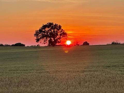 Les Cypres De Crose I Villa Badefols-sur-Dordogne Eksteriør bilde