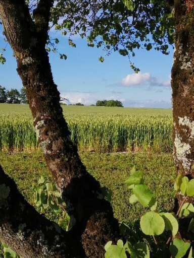 Les Cypres De Crose I Villa Badefols-sur-Dordogne Eksteriør bilde