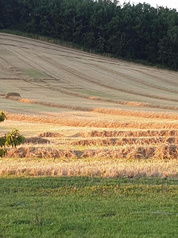 Les Cypres De Crose I Villa Badefols-sur-Dordogne Eksteriør bilde